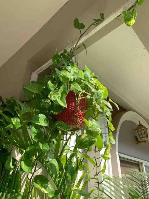 Furnished Villa Near Airport, Away From City Bhopal Esterno foto